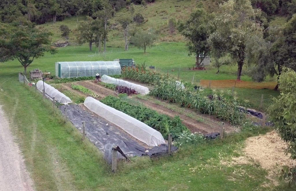Organic Vegetable Garden at River Valley Lodge