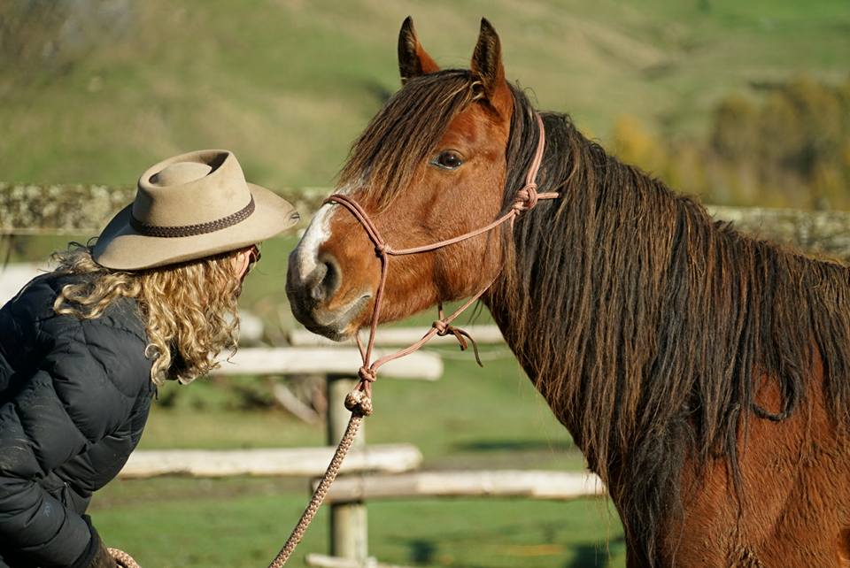 Nicola Teaching Brave Natural Horsemanship