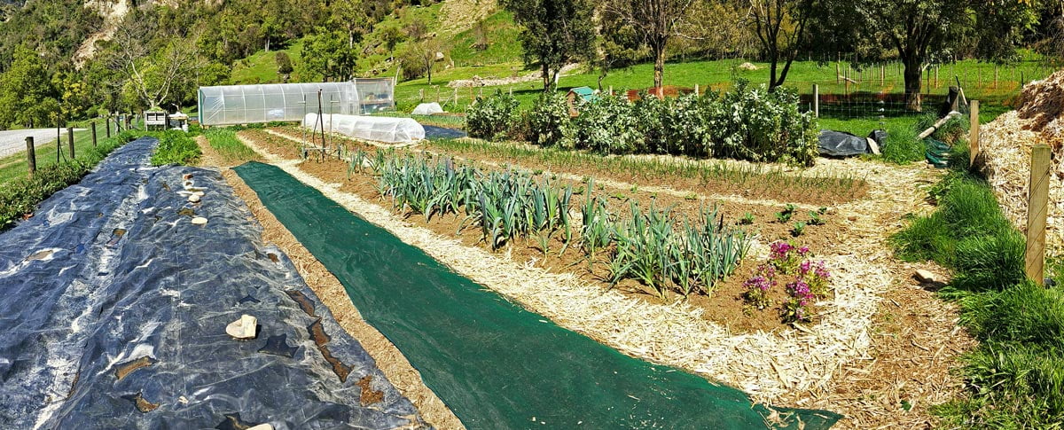 river valley vegetable garden