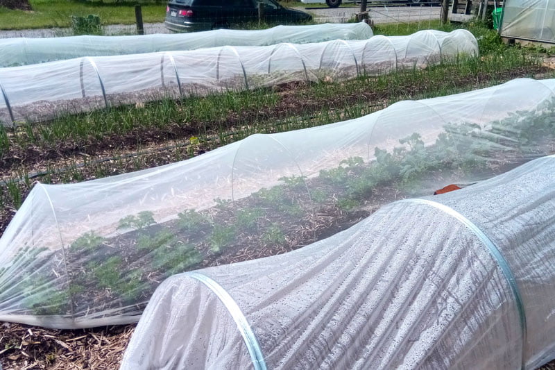 veggie garden nets