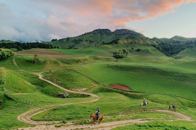 Sundowner Horse Trek