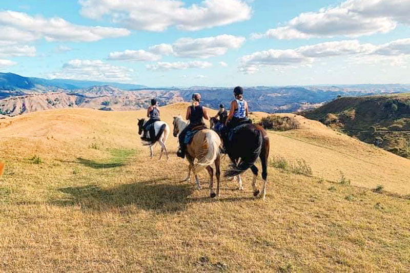 summer horse trekking