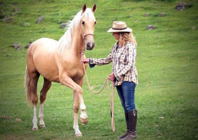 Harmony With Horses