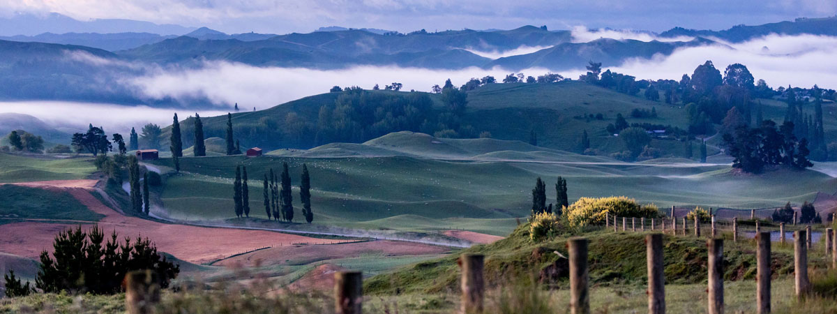 Pukeokahu Landscape