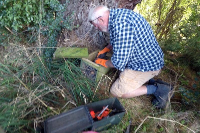 Roger Checking Stoat Traps