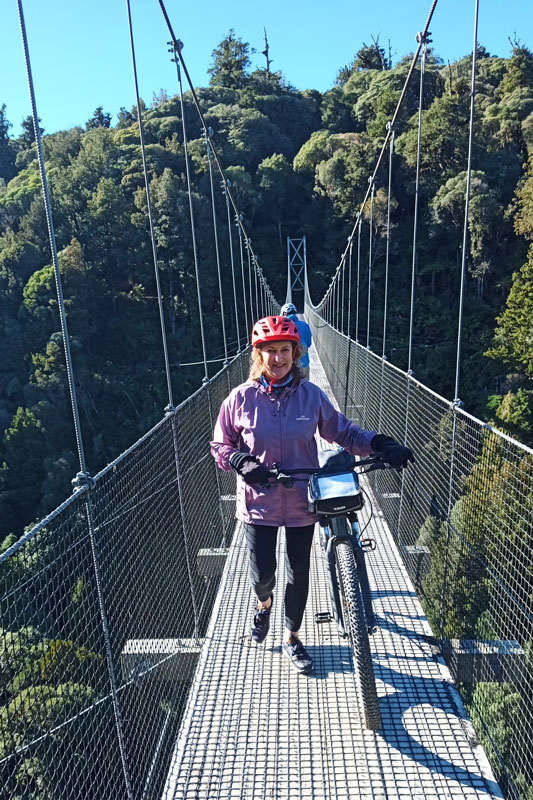 E-biking on the Timber Trail