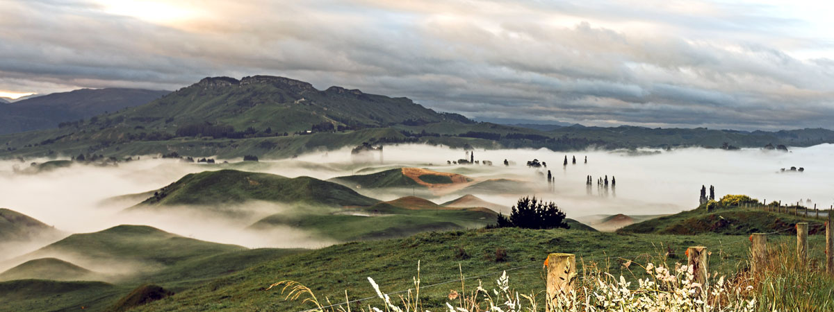 Pukeokahu Landscape