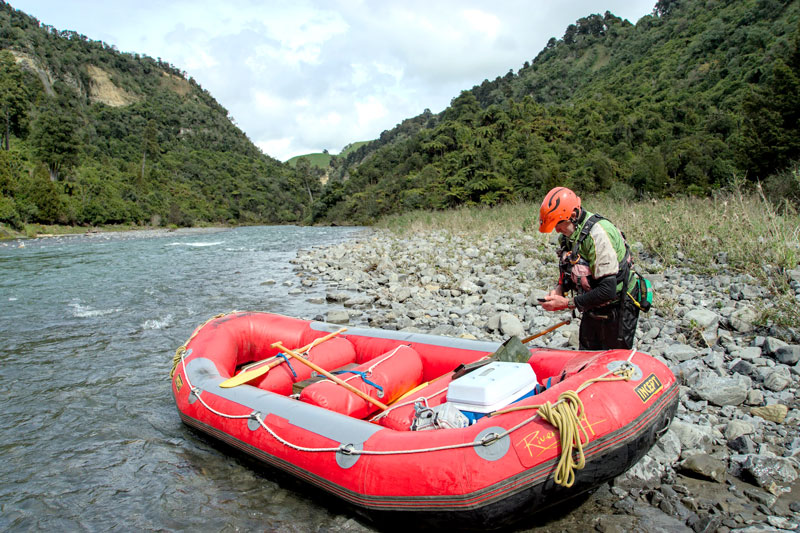 Rangtitikei River Stoat Traps